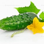 Куплю, купить, продажа, семена, Каховка, опт, оптом, Май